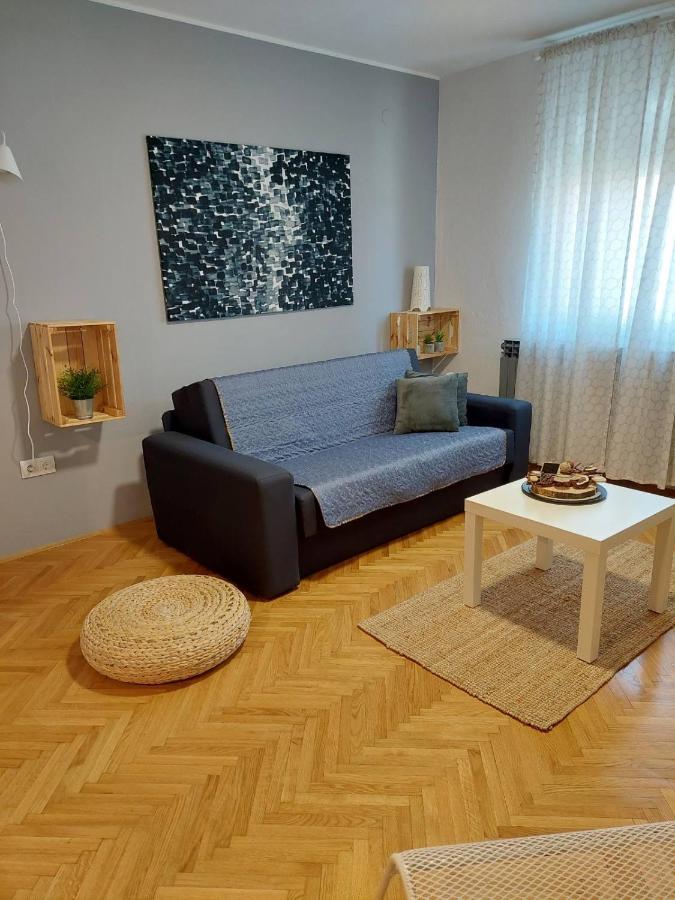 Apartman Hana Apartment Drežnik Grad Екстериор снимка