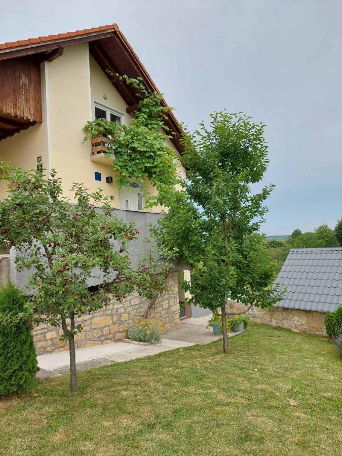Apartman Hana Apartment Drežnik Grad Екстериор снимка